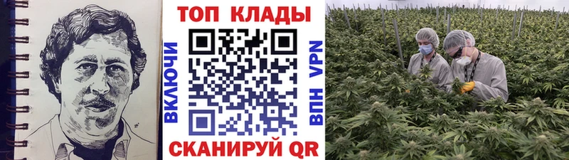 A PVP Сызрань