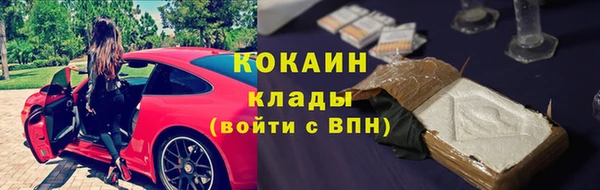 тгк Козельск