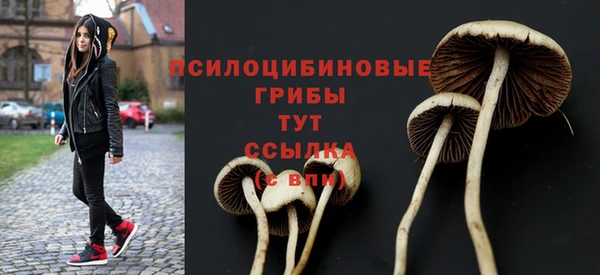 бутират Кодинск