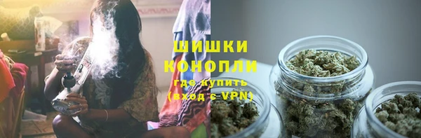тгк Козельск