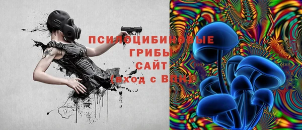 тгк Козельск