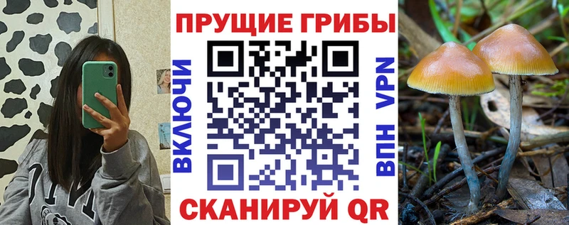 Псилоцибиновые грибы Magic Shrooms  закладка  Сызрань 