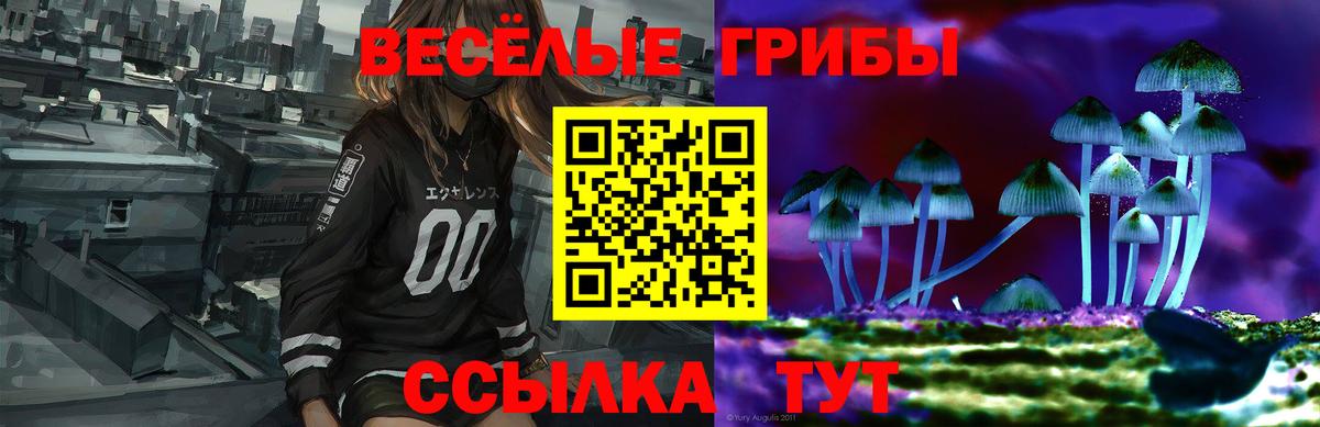 Псилоцибиновые грибы Psilocybine cubensis Сызрань