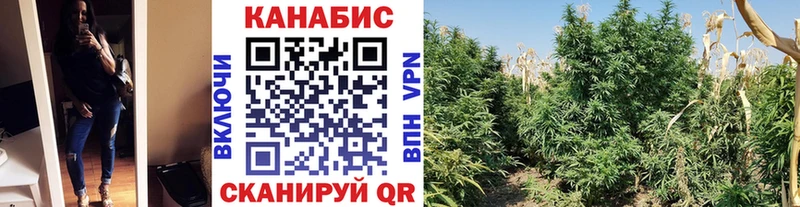 где купить   Сызрань  Канабис Bruce Banner 